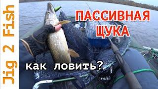 Ловля пассивной ЩУКИ! 5 принципов!