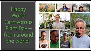 Happy Second Annual World Carnivorous Plant Day!