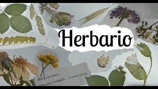 Como hacer un herbario Parte 1 I Recolectar, prensar y secar