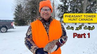 Farhan adventure day PHEASANT TOWER HUNT   PART-1.   ONTARIO CANADA