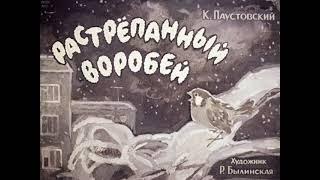 Растрепанный воробей  Паустовский Константин Георгиевич  Диафильм  1967