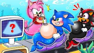 Amy, Brewing Cute Pregnant & Cute Baby Factory - Sonic The Hedgehog 3 Animation