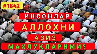 Инсонлар Аллохни азиз махлуқларими? Абдуллох Зуфар Хафизахуллох!