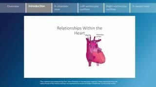 Key screening views of the fetal heart - Part 2 - Introduction