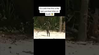 Rare Videotape of North Sentinel Island  #shorts