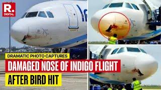 Video: IndiGO Flight Suffers Massive Nose Damage After Bird Hit, Makes Emergency Landing