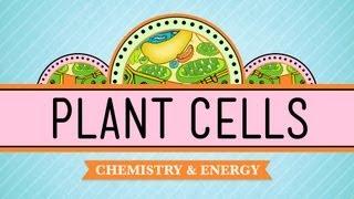 Plant Cells: Crash Course Biology #6