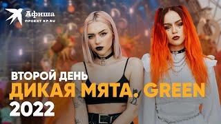Фестиваль Дикая Мята Green 2022 | День второй 18 июня