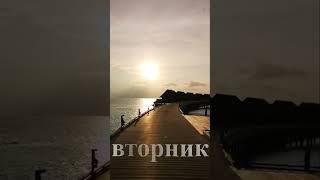 Аффирмации Вторник  #аффирмации  на Каждый День Недели Всемогущая Сила Слова #аффирмациинакаждыйдень