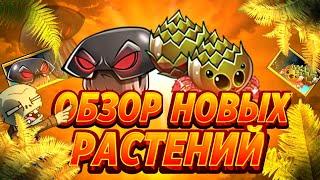 Двойной Обзор Новых Растений от Шутяры PvZ Гриб Судьбы и БластСпиннер (Doom-Shroom) и (BlastSpinner)