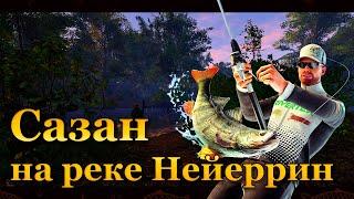  Fishing Planet. Сазан на реке Нейеррин 