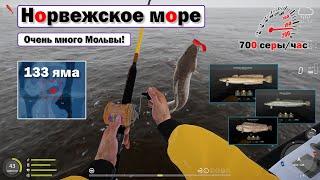 Очень много Мольвы! • 133 яма • Гига-джиг • Русская Рыбалка 4 • Норвежское Море