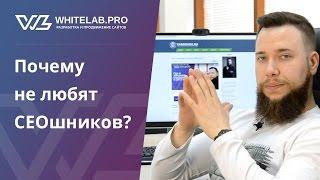 Почему не любят СЕОшников? (18+)