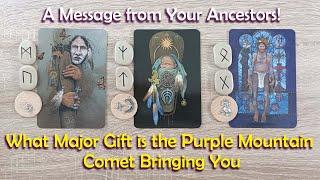 A Message From Your AncestorsWhat Major Gift is the Purple Mountain Comet Bringing You⌛🪄