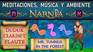  Meditations in Narnia | Music and Relaxing Atmosphere | Duduk, Clarinet and Flute | Narnia Kosher