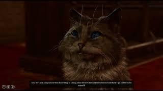 Kira The Cat Baldur's Gate 3