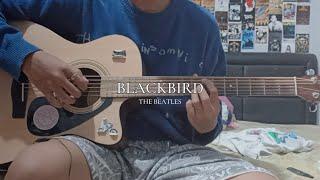 Blackbird - The Beatles (Acoustic Guitar Cover) + Lyrics