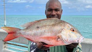 Mutton Mania! HAUL of MONSTER Snapper from Florida Keys Bridge!