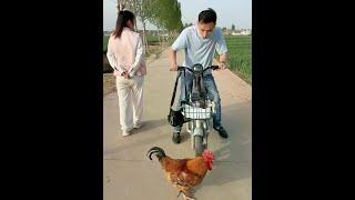 One who bargains for small advantages may lose sight of bigger gains. #滑稽情侣#每日一笑