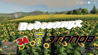 Farming Simulator 19 - Подсолнух. 7 этапов выращивания.