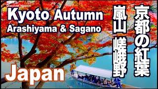 京都の紅葉  KYOTO Autumn Leaves 嵐山 嵯峨野の紅葉の名所 京都観光 旅行 Arashiyama Sagano  天龍寺 常寂光寺 宝厳院 日本 JAPAN