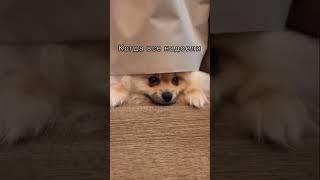 Когда все надоели