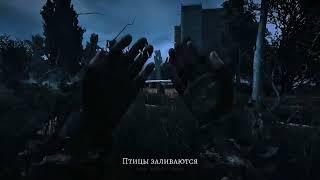 Там, где был твой дом STALKER ANOMALY