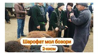 #Сешанба_мол_бозори dehqonobod mol bozori карши мол бозори