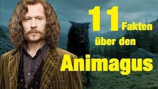 11 FAKTEN über den ANIMAGUS