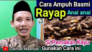 CARA MEMBASMI RAYAP DI RUMAH  Cara Menghilangkan Rayap di Kayu  Obat Rayap Kayu Paling Ampuh