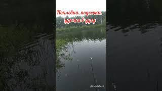 Поклевка, подсечка. удочка в дугу #карась #рыбалка #рыбалканакарася