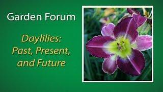 Project Green: Daylilies: Past, Present and Future