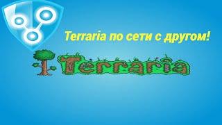 Как поиграть с другом в Terraria через Radmin Vpn на пиратке:)