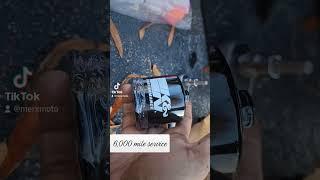 Triumph Street/Speed Twin 900|6000 Mile Service Pt. 1 #classicmotorcycles #motorbike #motorcycle
