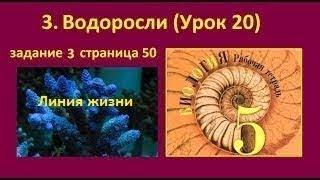 Использование водорослей/Водоросли №3 (Биология 5 класс л/ж)