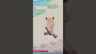 #capybara #dexland #minecraft #shorts