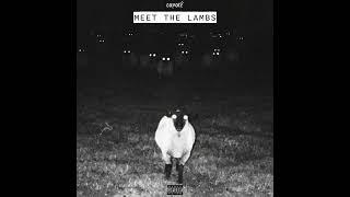 Coyote - MEET THE LAMBS