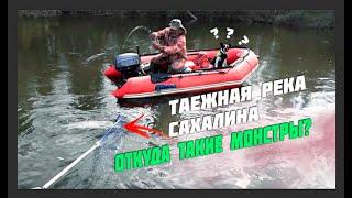 ТАЙМЕНИ ЛЮДОЕДЫ!!! ОХ УЖ ЭТИ САХАЛИНСКИЕ МОНСТРЫ!!!