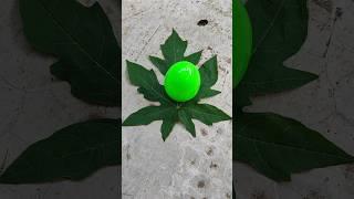 green egg and gray egg #beats #memes #music #egg