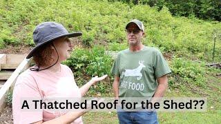 Planting White Sweet Potatoes, Huge Pile of Mulch, & Shed Delays