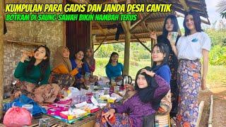 WOOW...SEENAK INI‼️ BOTRAM BARENG GADIS DAN JANDA DESA CANTIK DI SAUNG SAWAH BIKIN NAMBAH TERUS