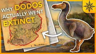 Why DODOS Actually Went EXTINCT | Island Biogeography 1