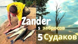 ZANDER | 5 забросов -5 СУДАКОВ. ОСЕНЬ. Вилейское водохранилище.