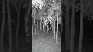 DO NOT Enter the Woods at Night… The Woodsman is Watching! #horror #scary #shorts #viral #tiktok