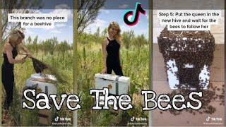 Save the Bees Compilation - Tik Tok