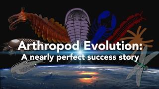 Arthropod Evolution: A nearly perfect success story