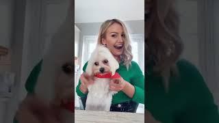 Part 2 with Bianca  (it escalates) #sacconejolys #foryou #featureme #annasaccone #dogs...