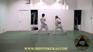 Okinawa Shorin-ryu Karate: Knife Defense Demonstration