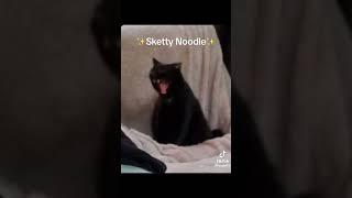 Sketty noodle 