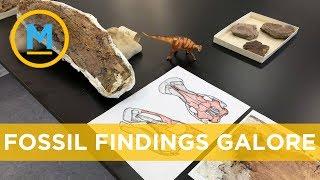 It was a  historic year for fossil finders in Saskatchewan | Your Morning